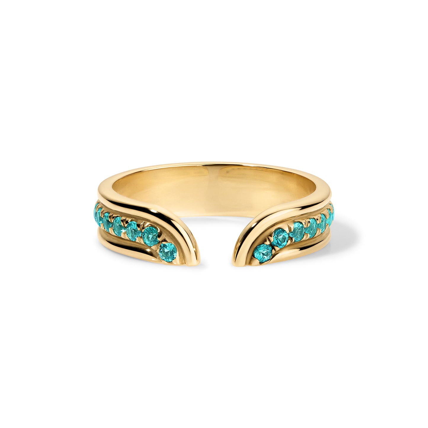 Klein Ring - Paraiba