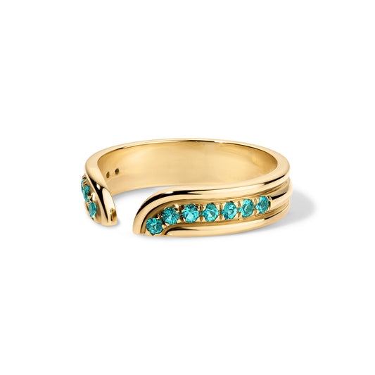 Klein Ring - Paraiba