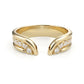 Klein Ring